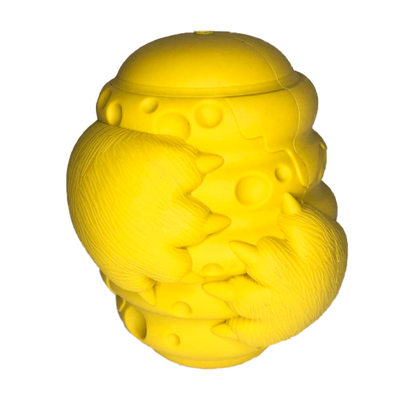 Honey Bear Food Dispensing Toy