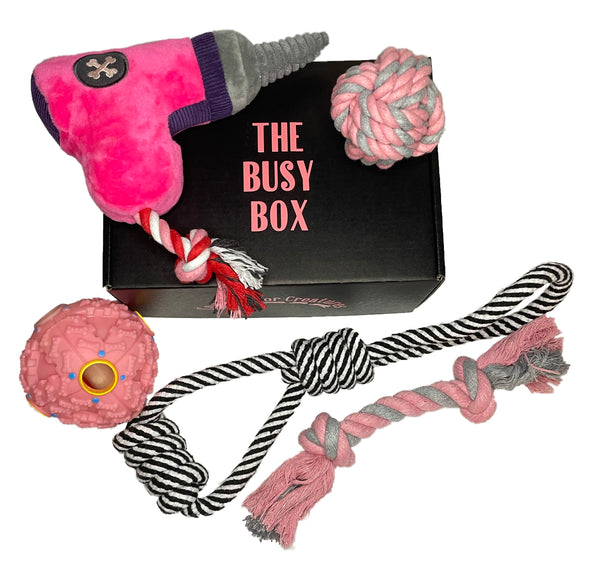 The Busy Box Pink