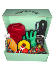 The Groovy Box - Dog & Puppy Starter Box