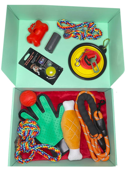 The Groovy Box - Dog & Puppy Starter Box