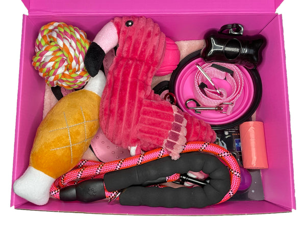 The Fuchsia Box - Dog & Puppy Starter Box