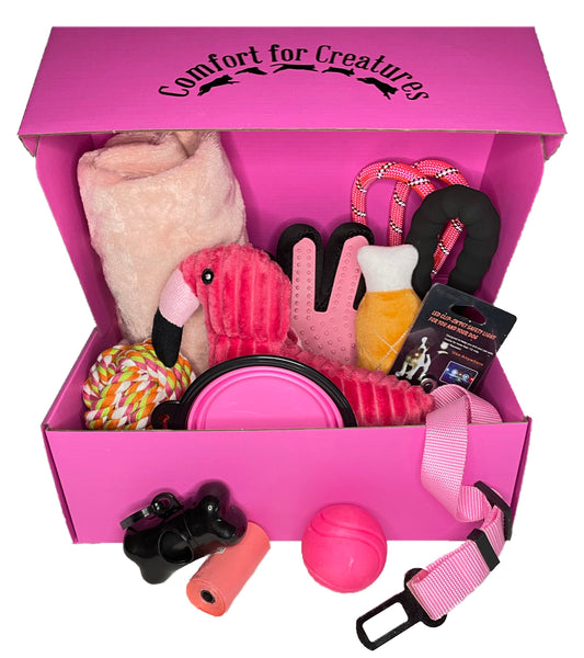 The Fuchsia Box - Dog & Puppy Starter Box