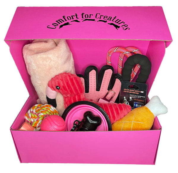 The Fuchsia Box - Dog & Puppy Starter Box