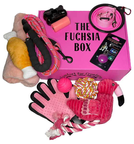 The Fuchsia Box - Dog & Puppy Starter Box